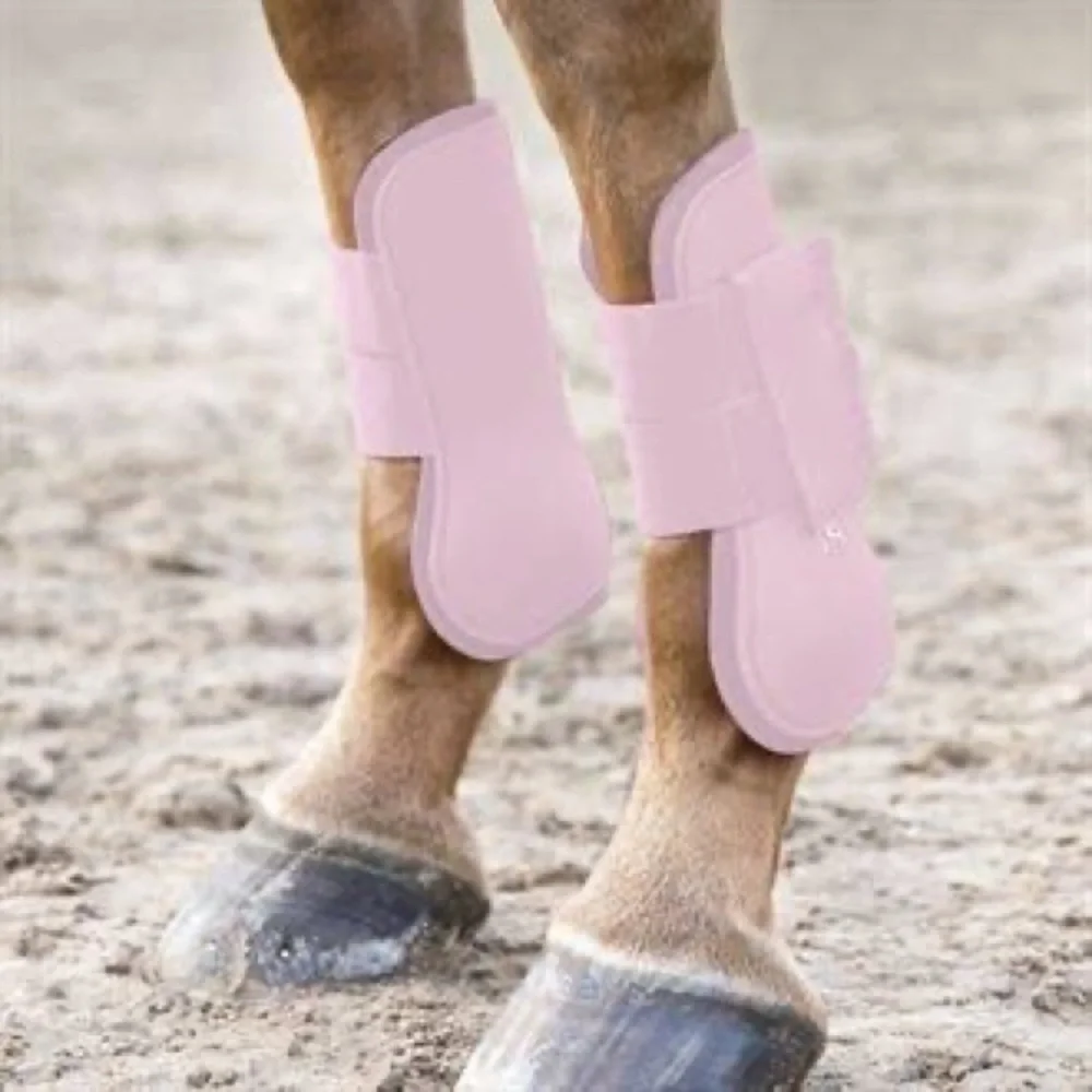 HUGE equestrian ISO!! - Picture 8 of 10